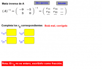 Ver Actividad