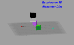 Ver Actividad