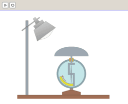 View Activity