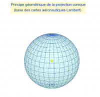 Ver Actividad
