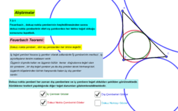 Ver Actividad