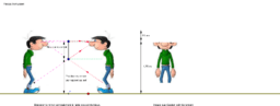 View Activity