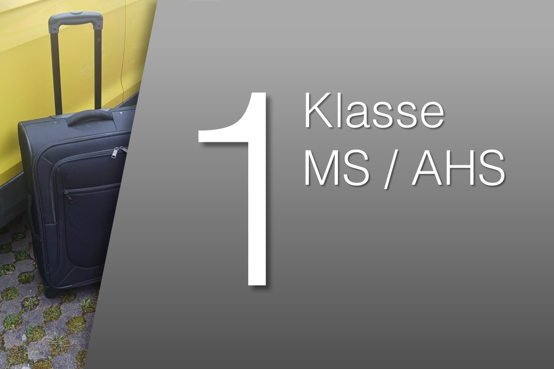 Aktivität ansehen