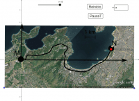 View Activity