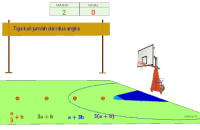 Voir l'Activit&eacute;