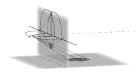 View Activity