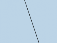 View Activity