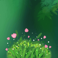 杨老师的数学