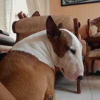 LEIDY VANESSA GETIAL BECERRA